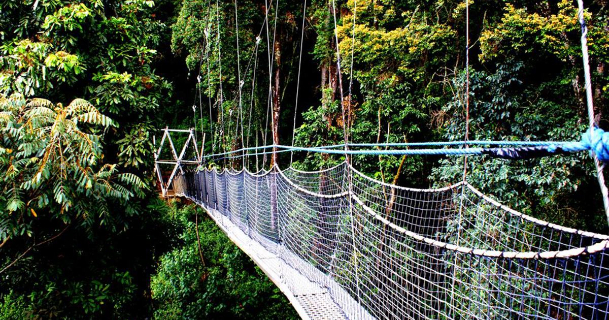 What are the main activities to do do in Rwanda Safaris